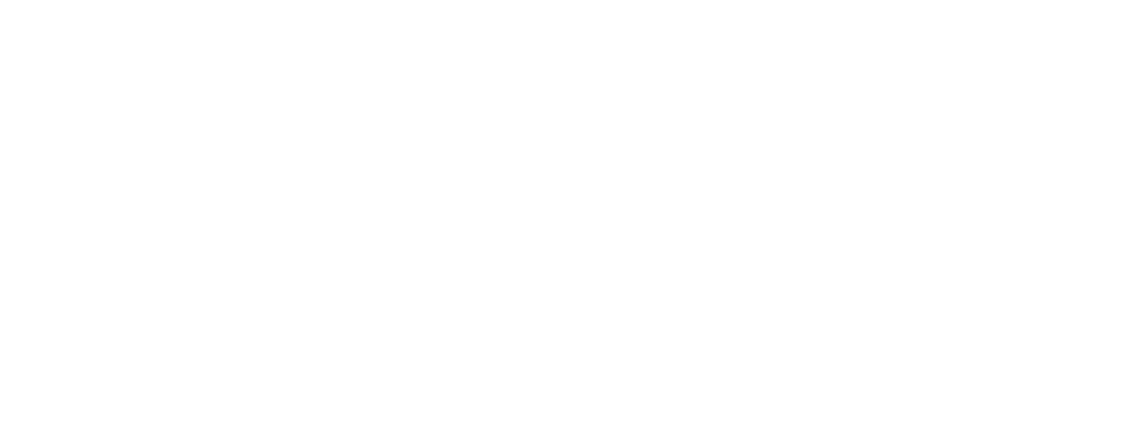SCT — System and Consumers Technology